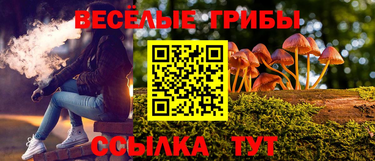 Псилоцибиновые грибы Psilocybine cubensis  Псилоцибиновые грибы MAGIC MUSHROOMS  Вход с VPN  Янаул 