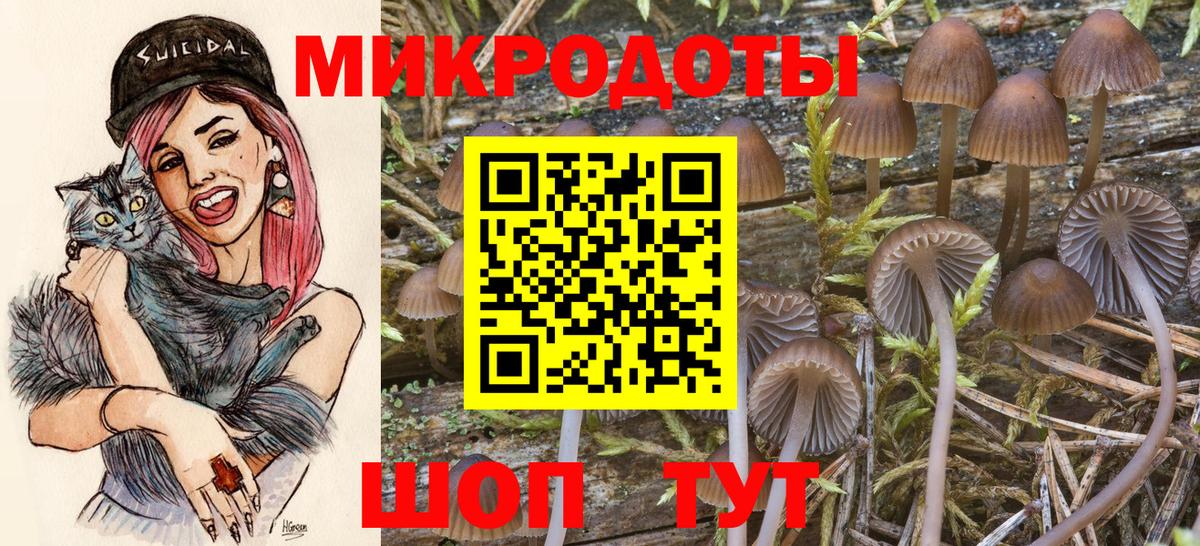 Галлюциногенные грибы Psilocybe Янаул